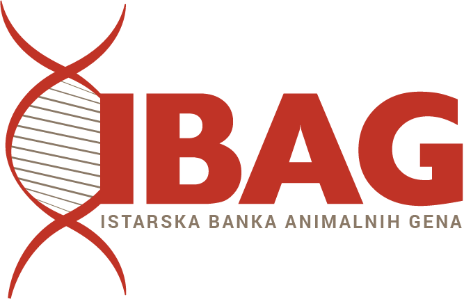 IBAG logo